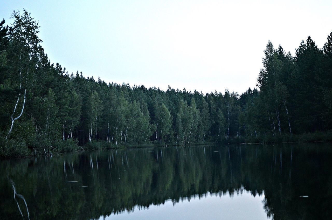 PANORAMIC VIEW OF LAKE IN FOREST