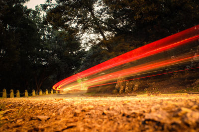 Light trails on trees against sky