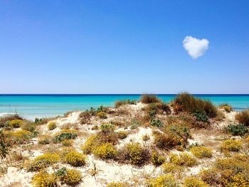 Scenic view of beach against clear blue sky