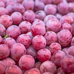 Full frame shot of blueberries in market