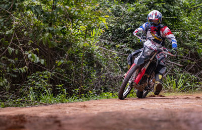 Man riding bicycle in forest