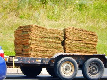 Stack of grass