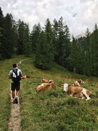Walking through the natural paths of trentino