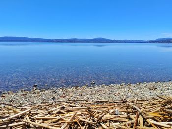 Scenic view of sea against clear blue sky