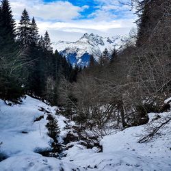 snow