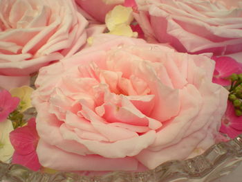 Close-up of pink rose bouquet