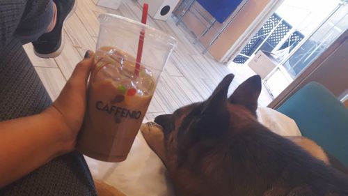 Midsection of person holding cat at home