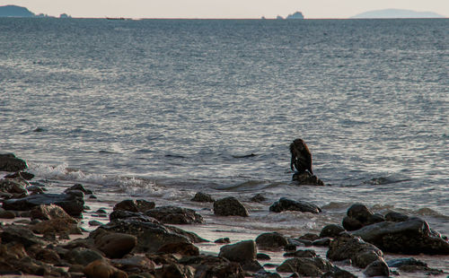 People on rocks by sea against sky