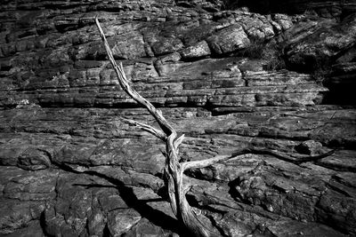 Full frame shot of rock formation