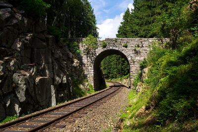 Railroad tracks amidst trees against sky