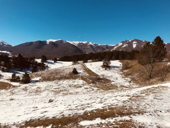 Scenic view of snowcapped mountains against clear blue sky