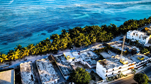 High angle view of plants by sea