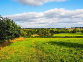 Scenic view of field against sky