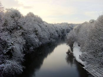 Scenic view of river amidst snow covered bare trees