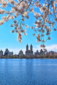 View of buildings by river with city in background