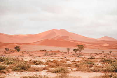 Scenic view of desert against sky