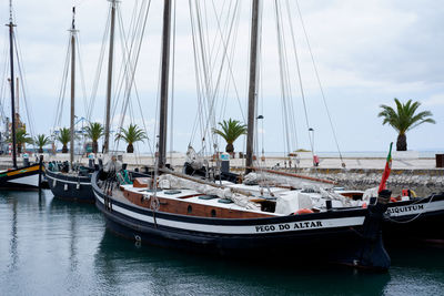 Sailboats moored in marina