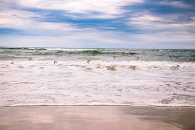 Scenic view of beach against sky