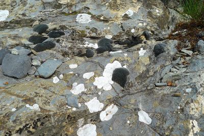 Rocks in sea