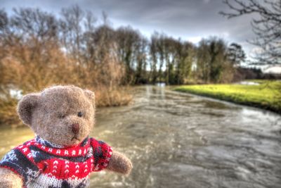 View of stuffed toy by trees against sky