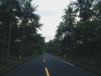 Road amidst trees against sky in city