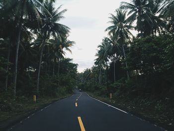 Eye catching view of the long road in the middle of the forest during a trip in ternate, indonesia