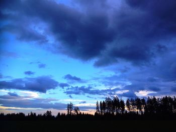 Silhouette of trees on landscape at sunset