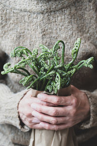 Bracken fern in eco craft paper bag, in hands of elderly woman.vegan concept. sustainable lifestyle.