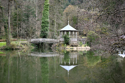 Scenic view of lake in forest