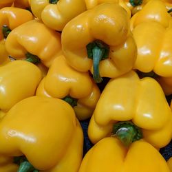 Full frame shot of yellow bell peppers for sale at market stall