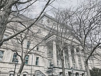 Low angle view of bare tree against buildings in city