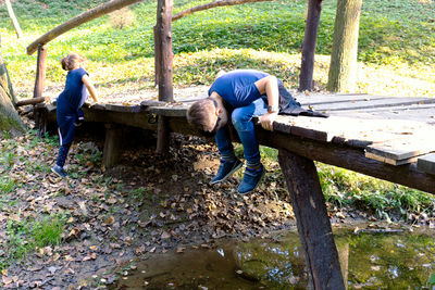 People sitting on log in forest