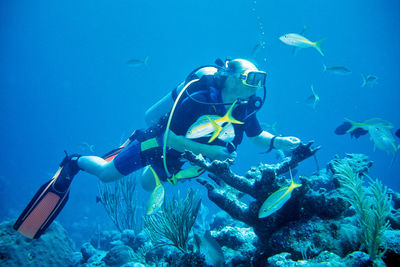 Man with fishes scuba diving in sea