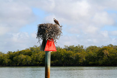 Bird perching on wooden post by lake against sky