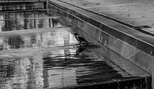 High angle view of man on canal