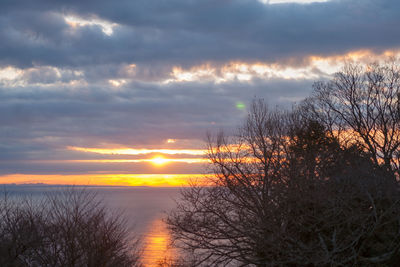 Scenic view of silhouette trees against sky during sunset