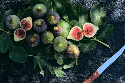 High angle view of fruits growing on plant