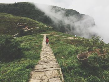 Rear view of man standing on mountain road