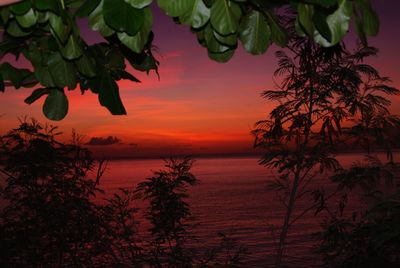 Scenic view of sunset over sea