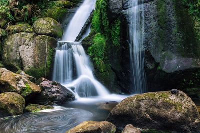 Scenic view of waterfall in forest