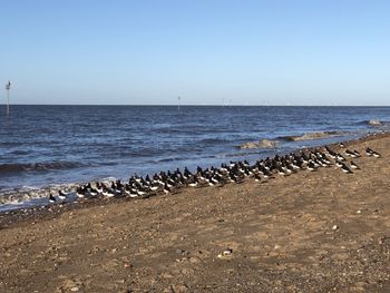 Scenic view of sea against clear sky