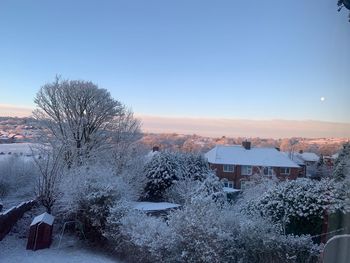 Trees and buildings against sky during winter