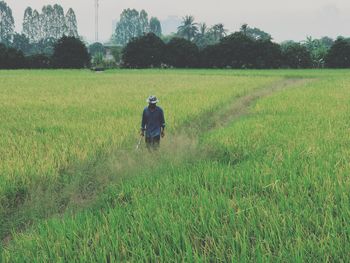 Rear view of man walking on field