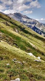 mountain