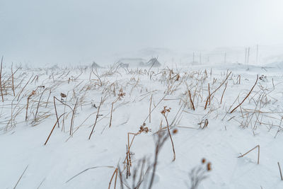 Scenic view of snow covered field against sky