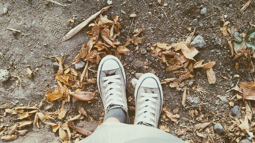 Low section of person standing on dry leaves on field