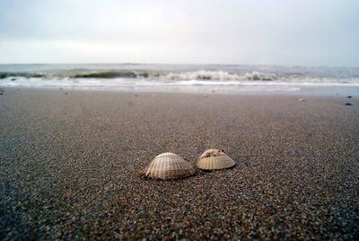 Pebbles on sand at beach against sky