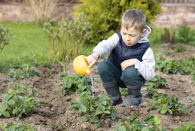 Boy watering plant at farm