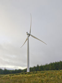 environmental conservation