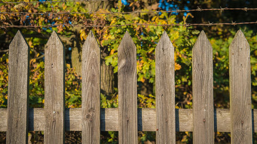 Close-up of wooden fence by plants